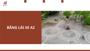 a2-5