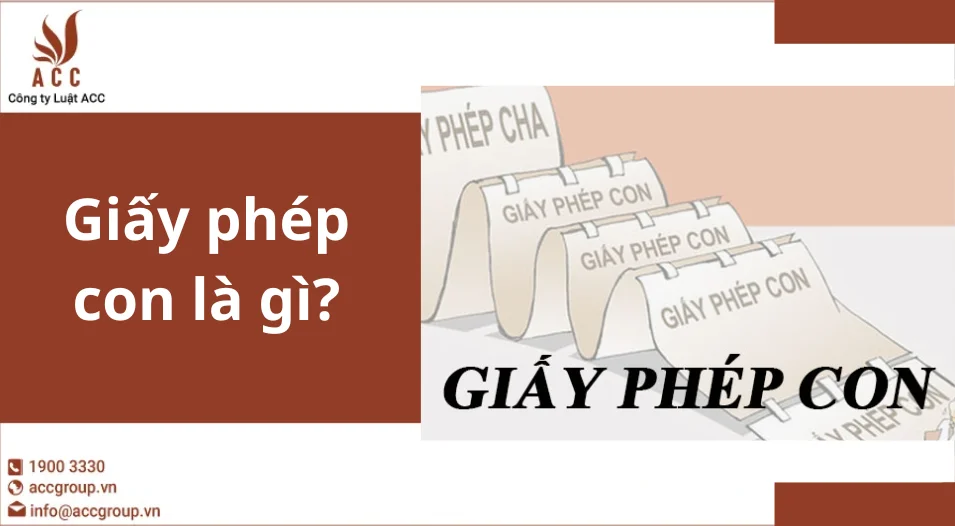 Giấy phép con là gì?
