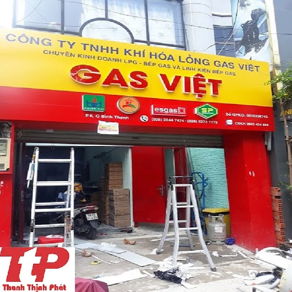 Mẫu 4