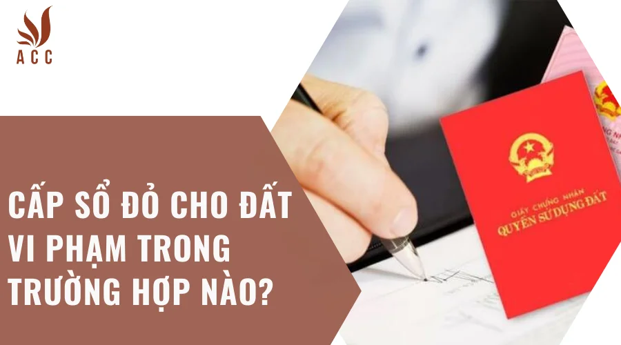 Cấp sổ đỏ cho đất vi phạm trong trường hợp nào?