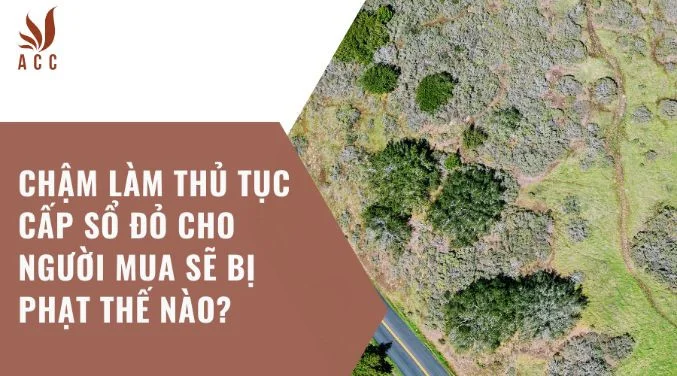 Chậm làm thủ tục cấp sổ đỏ cho người mua sẽ bị phạt thế nào?