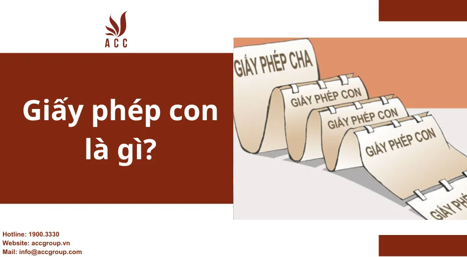 Giấy phép con là gì