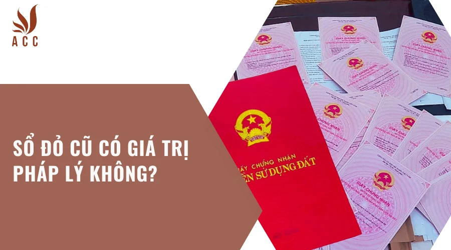 so-do-cu-co-gia-tri-phap-ly-khong