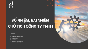bo-nhiem-bai-nhiem-chu-tich-cong-ty-tnhh