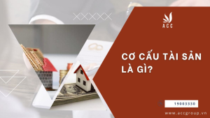 co-cau-tai-san-la-gi