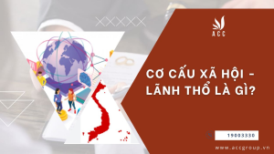 co-cau-xa-hoi-lanh-tho-la-gi