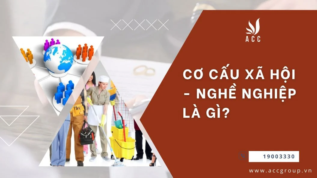 Cơ cấu xã hội - nghề nghiệp là gì?