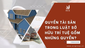 quyen-tai-san-trong-luat-so-huu-tri-tue-gom-nhung-quyen