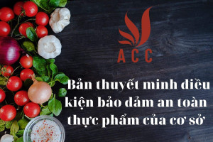 Ban-thuyet-minh-dieu-kien-bao-dam-an-toan-thuc-pham-cua-co-so