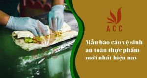 Mau-bao-cao-ve-sinh-an-toan-thuc-pham-moi-nhat-hien-nay