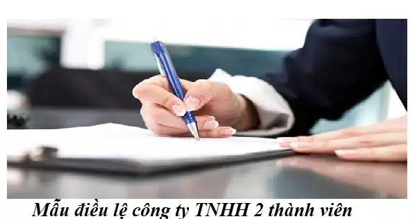 Mau Dieu Le Cong Ty Tnhh 2 Thanh Vien Tro Len