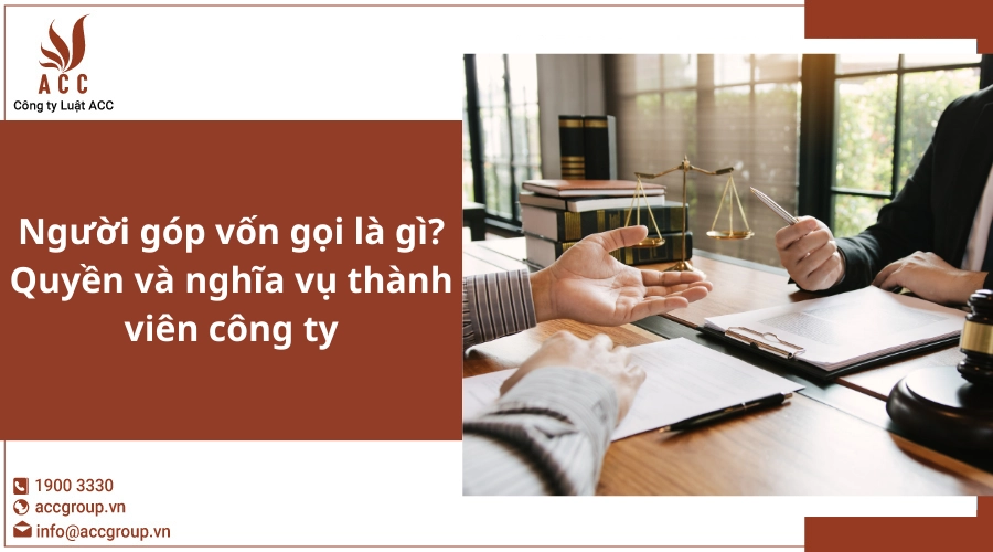 Người Góp Vốn Gọi Là Gì Quyền Và Nghĩa Vụ Thành Viên Công Ty
