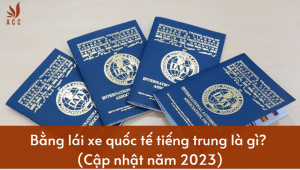 BLX-qt-tieng-Trung