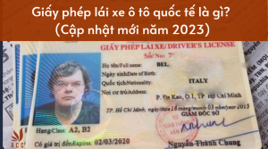 GPLX-oto-qt-la-gi