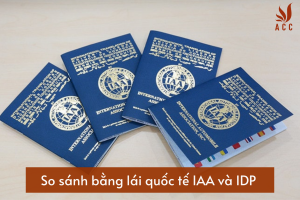 so-sanh-bang-lai-quoc-te-iaa-va-idp